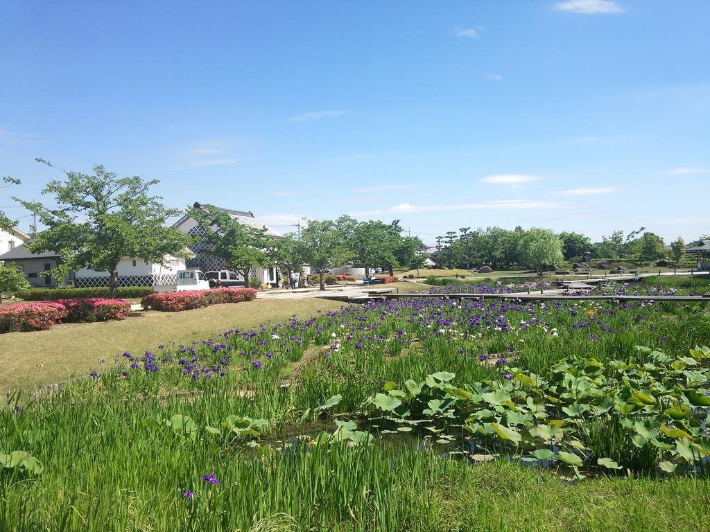 🏯 빗추 다카마쓰 성터 공원(빗추타카마쓰조시코엔) 이미지 1